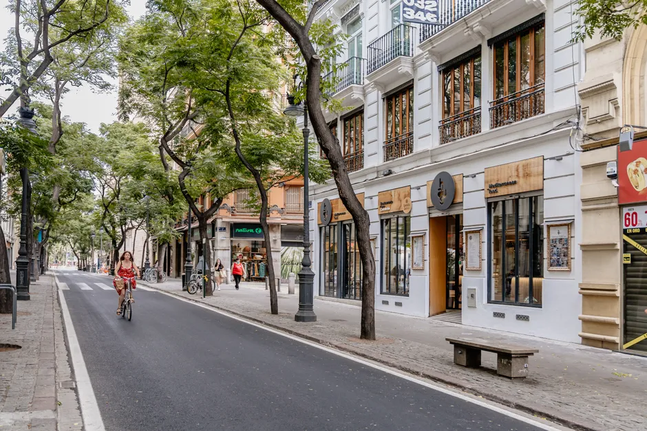 A woman rides a bicycle along a charming, tree-lined street in Valencia, Spain, showcasing urban life.